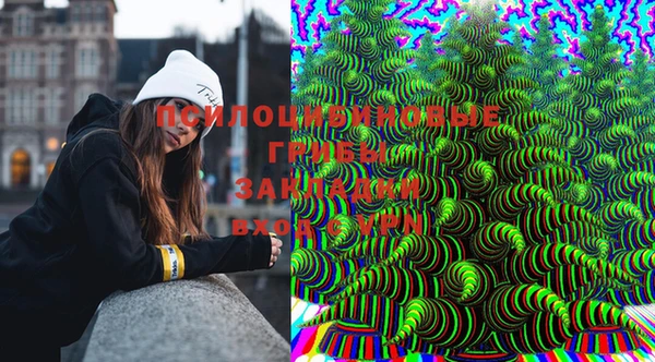 бошки Вяземский