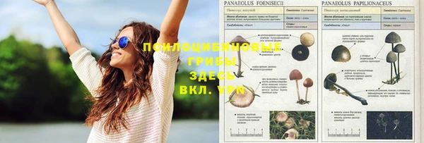 бошки Вяземский
