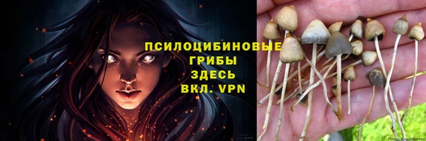 дмт Волоколамск
