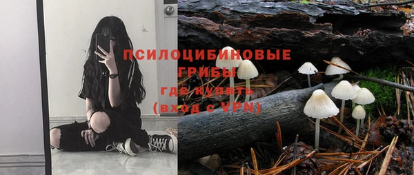 Альфа ПВП Вязники