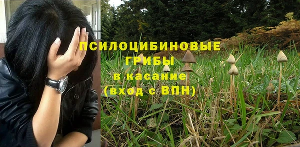 бошки Вяземский