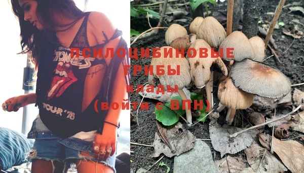 бошки Вяземский